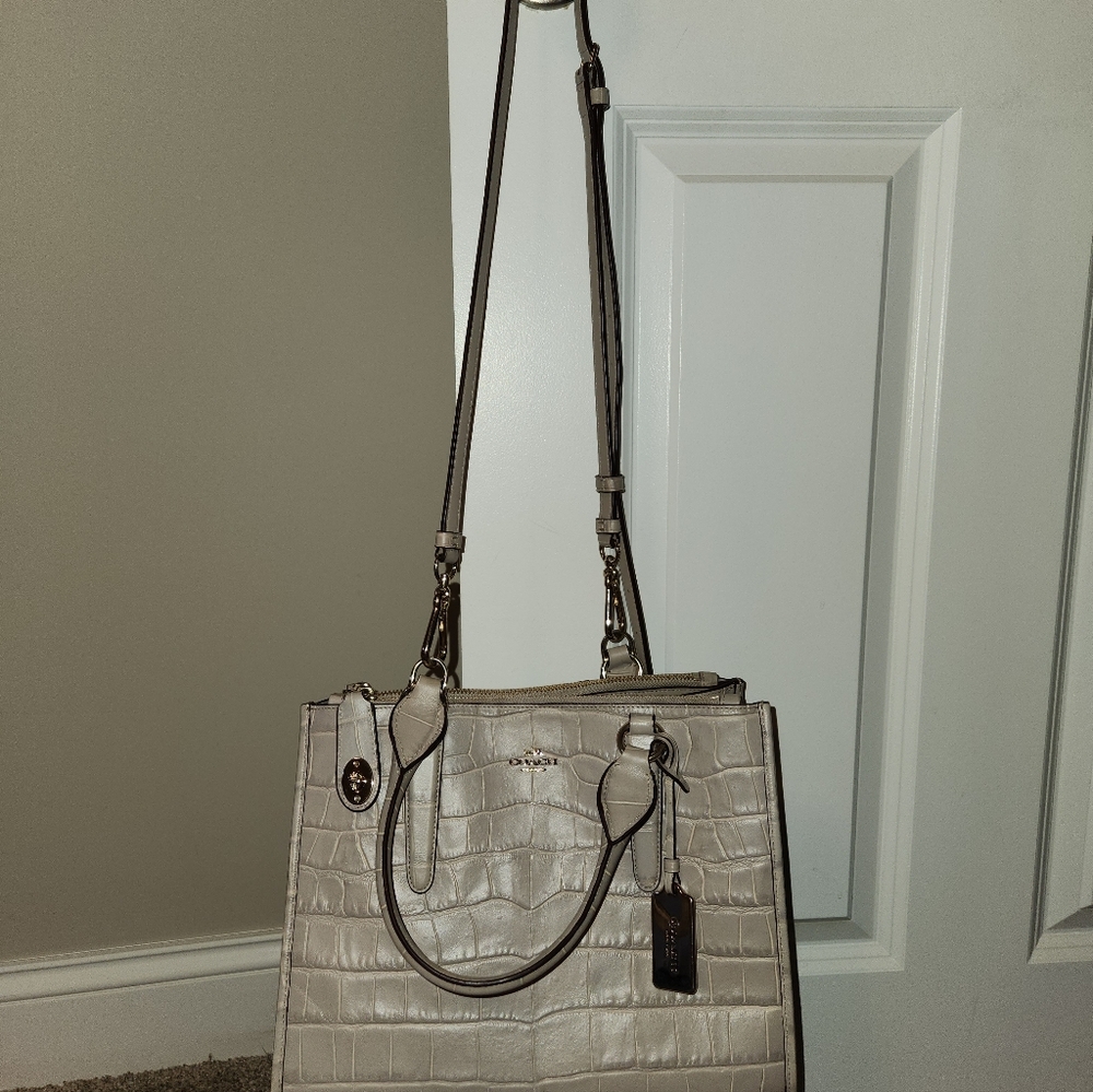 Elegant Gray Crocodile-Embossed Women's Bag, Gold Accents, Storage, 11.5 LxWxD